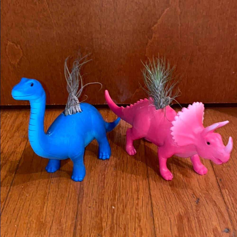 Hand made dinosaur air plant vases